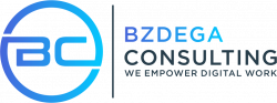 Bzdega Consulting